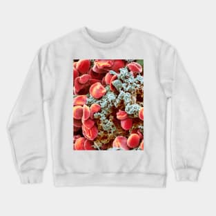 Red blood cells and platelets, SEM (F013/1526) Crewneck Sweatshirt